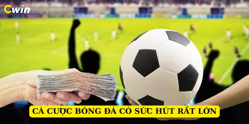 Cá cược bóng đá là hoạt động hấp dẫn mỗi ngày tại Cwin